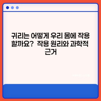 귀리효능: 건강한 삶을 위한 슈퍼푸드의 모든 것