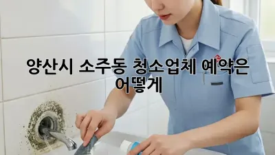 양산시 소주동 청소업체, 예약은 어떻게?