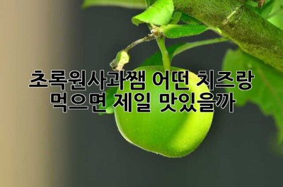 초록원사과쨈, 어떤 치즈랑 먹으면 제일 맛있을까? 😋
