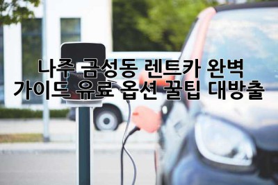 나주 금성동 렌트카 완벽 가이드: 유료 옵션 꿀팁 대방출! 🚗💨