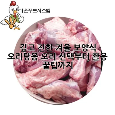 깊고 진한 겨울 보양식, 오리탕용 오리 선택부터 활용 꿀팁까지!