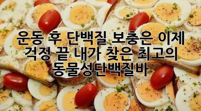 운동 후 단백질 보충은 이제 걱정 끝! 내가 찾은 최고의 동물성단백질바