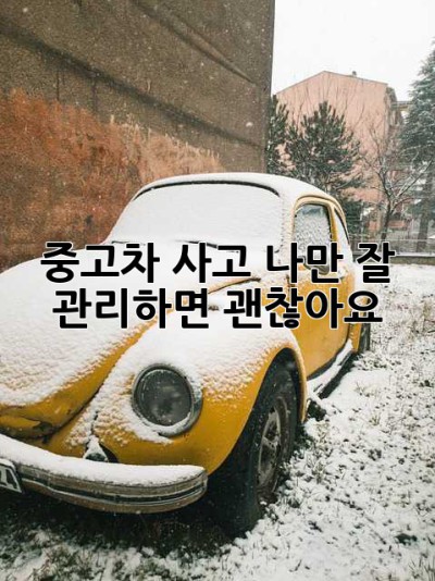 중고차 사고 나만 잘 관리하면 괜찮아요! 😎