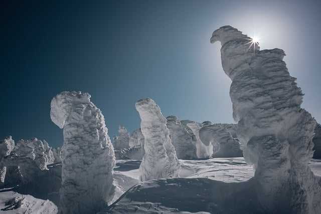 다산콜002.jpg